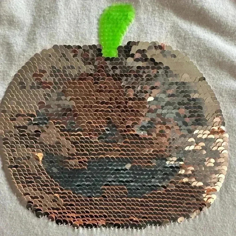Cat and Jack Pumpkin Flip Sequins Tee and Gray Taco tee (610) - Picture 6 of 13